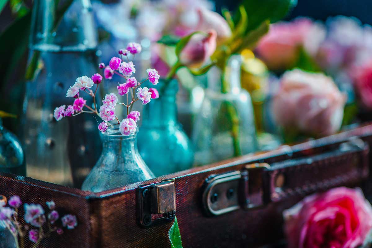 flower collection in vintage glass bottles close u 2026 03 16 22 57 27 utc