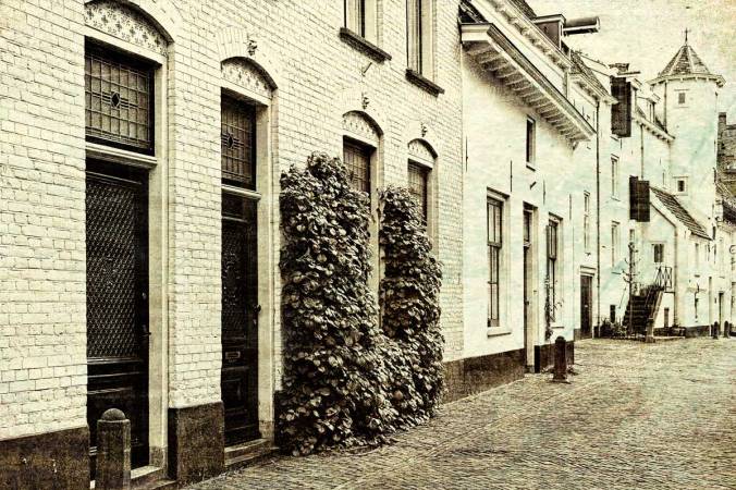 historic-buildings-in-the-city-of-amersfoort-typi-2026-01-09-13-30-47-utc