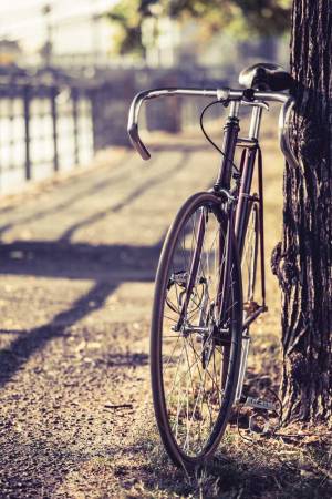 bike-road-fixed-gear-bicycle-2026-03-09-03-26-04-utc