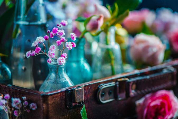 flower-collection-in-vintage-glass-bottles-close-u-2026-03-16-22-57-27-utc